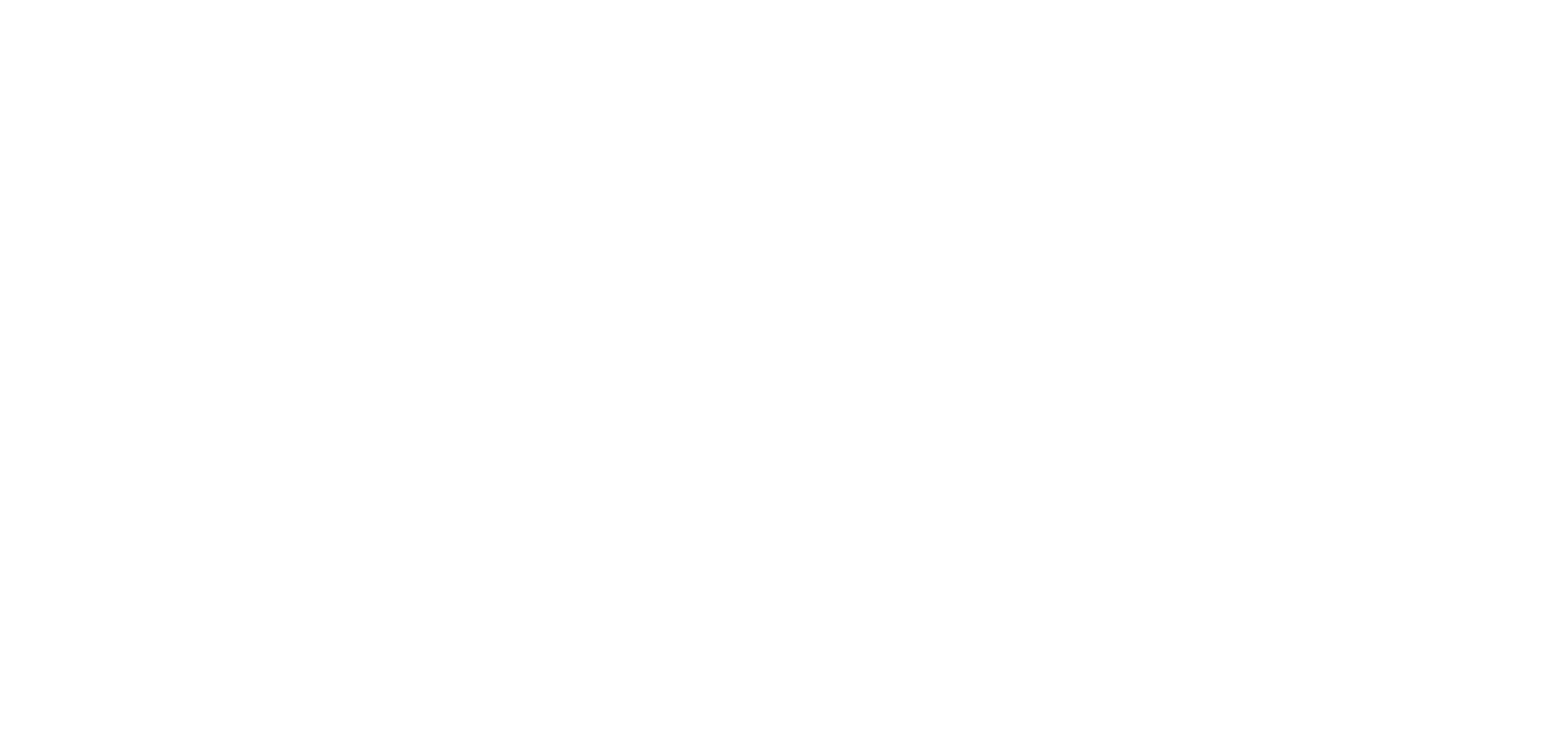 SUSAN TRANSPORTATION